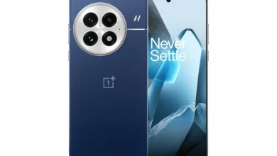 OnePlus 13