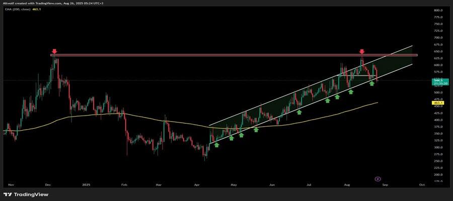 صعود دوباره بیتکوین کش/ زمان خرید BCH فرا رسیده؟+ نمودار صعود دوباره بیتکوین کش/ زمان خرید BCH فرا رسیده؟+ نمودار