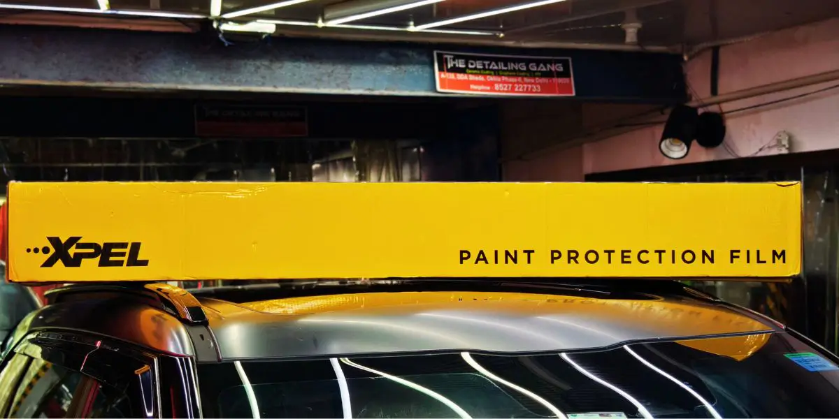 3m ppf cover