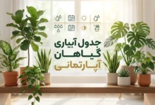 آبیاری گیاهان آپارتمانی