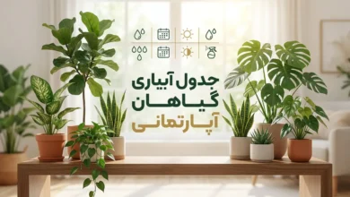 آبیاری گیاهان آپارتمانی