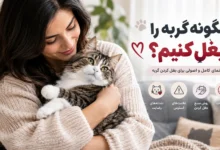 بغل کردن گربه
