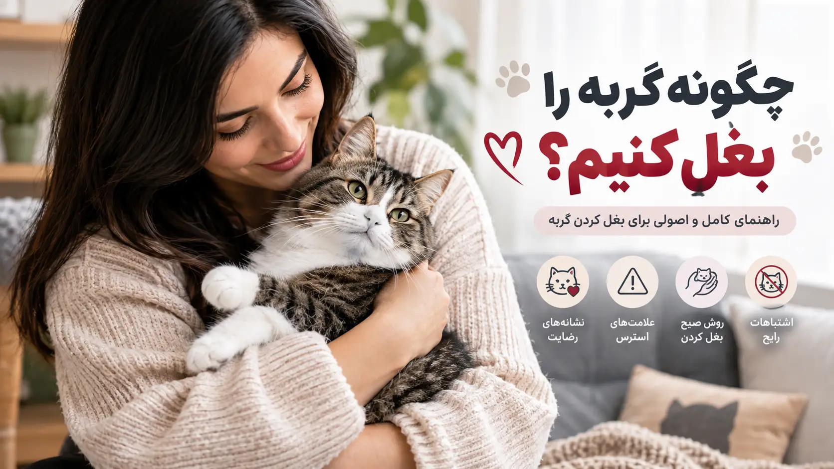 بغل کردن گربه