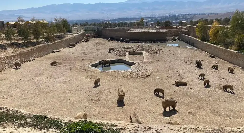 باغ وحش شیراز