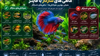 ماهی های سازگار با فایتر